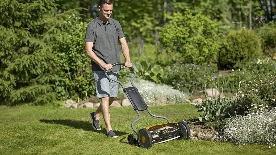 tondeuses à gazon pour votre jardin