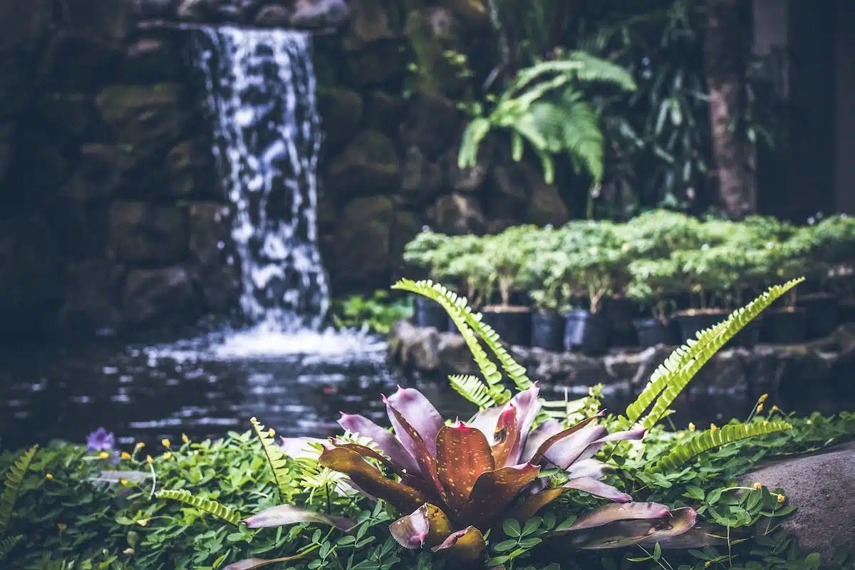 jardinage  tendances