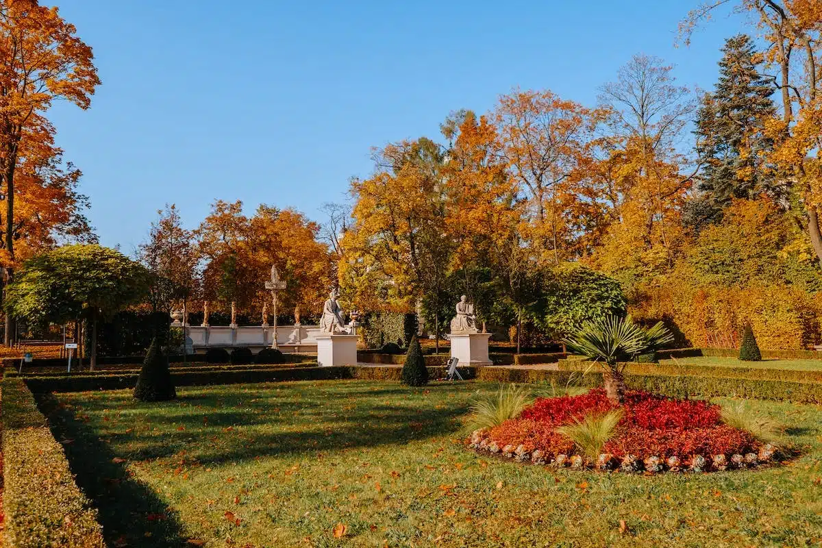 jardin automne