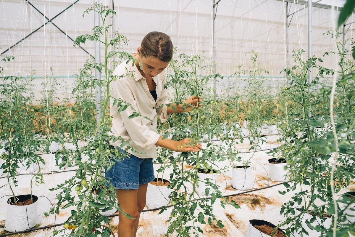 jardinage écologique