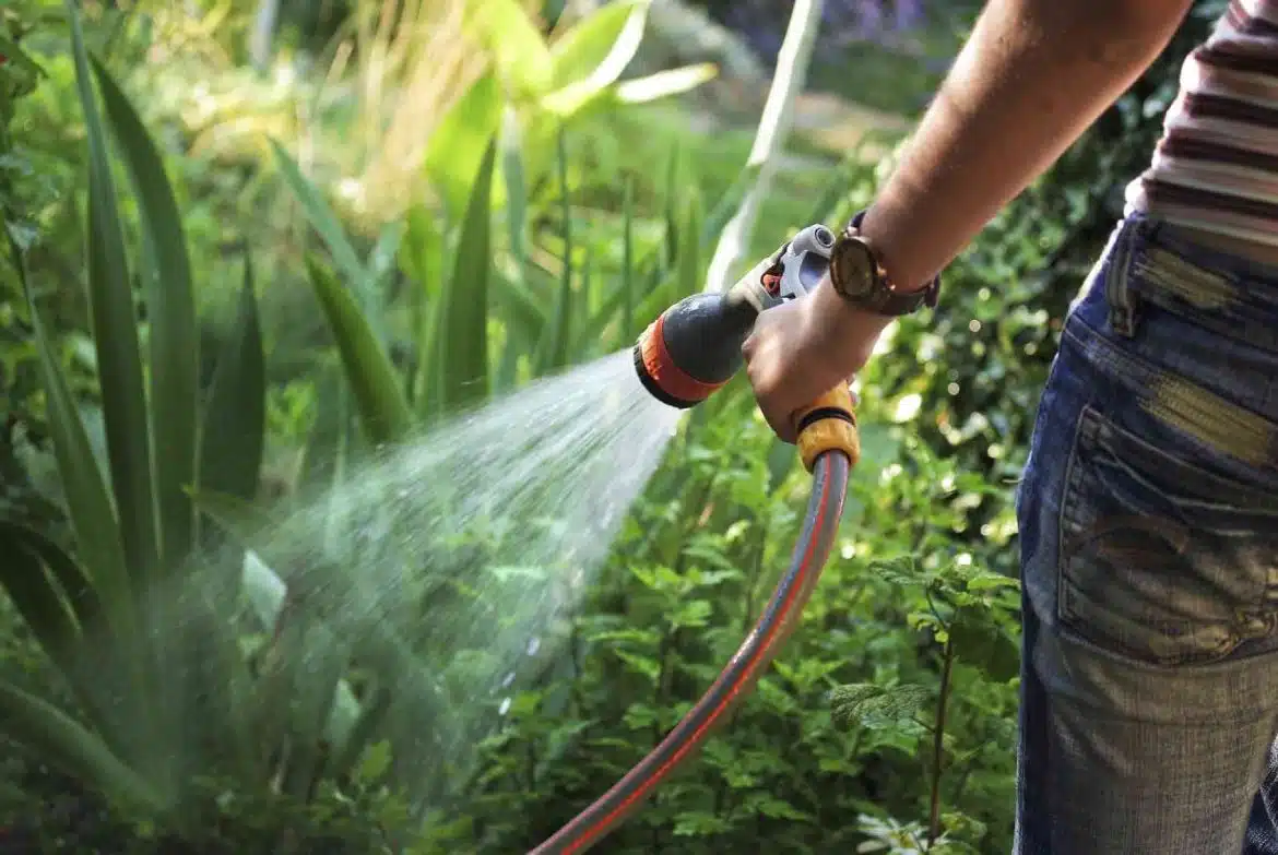 économiser de l’eau dans votre jardin