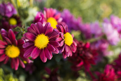 Jardins, terrasses, balcons : tout ce qu'il faut faire avant le retour des beaux jours