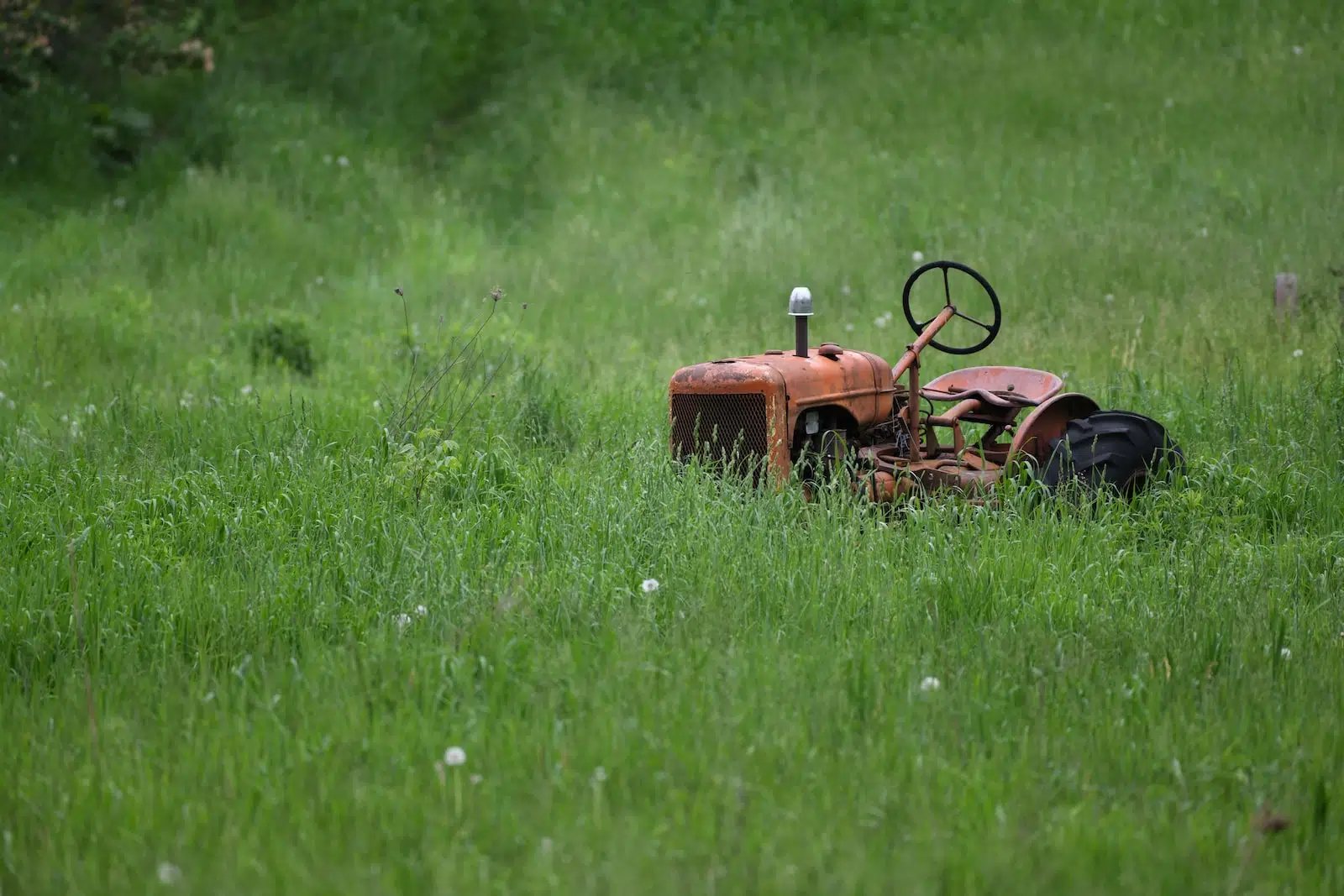 Que faire de sa vieille tondeuse ?